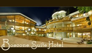 378388913 1077465300184297 3694559557287704264 n | Studio Gem